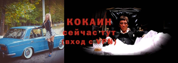 молекула духа Алексеевка