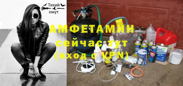 молекула духа Алексеевка
